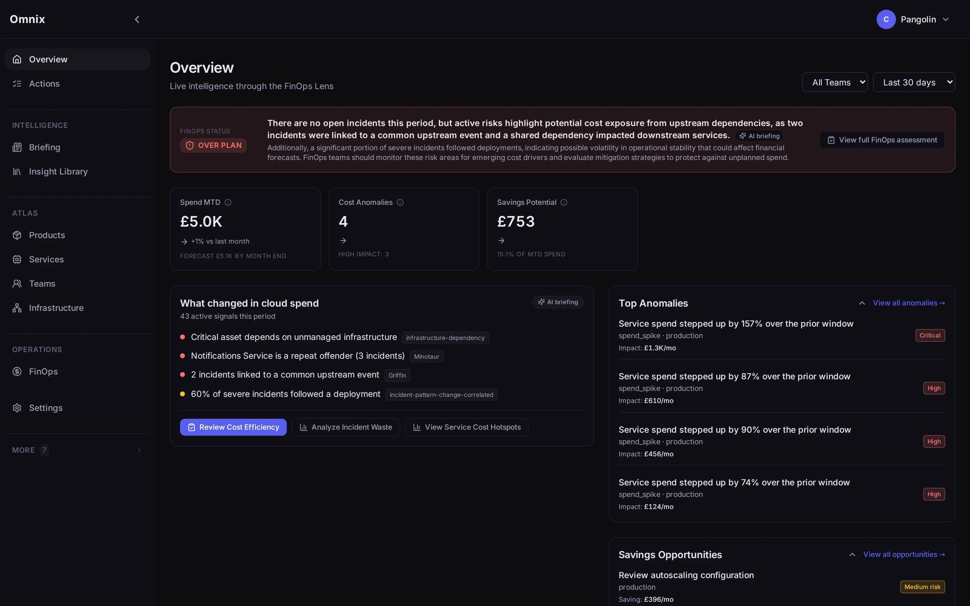 Omnix Overview through the FinOps lens, highlighting cost signals with owning services